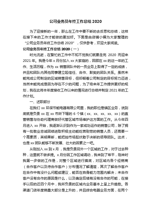 公司业务员年终工作总结2020