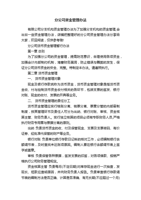 分公司资金管理办法