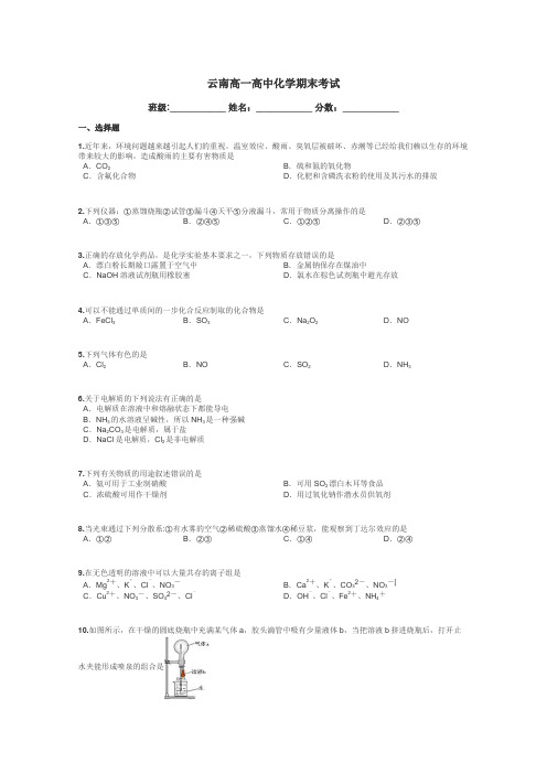 云南高一高中化学期末考试带答案解析
