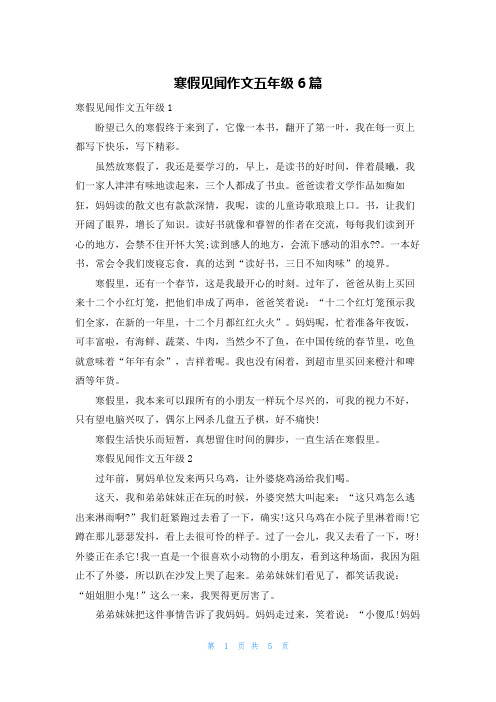 寒假见闻作文五年级6篇