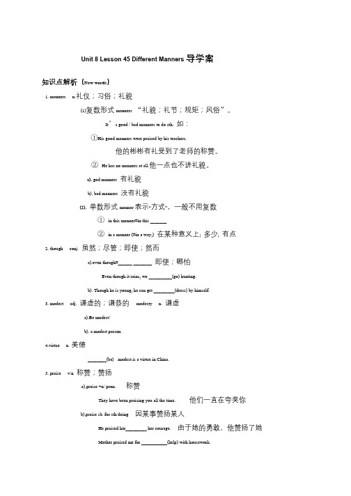 冀教版英语九年级全册导学案Lesson 45