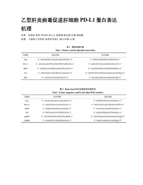 乙型肝炎病毒促进肝细胞PD-L1蛋白表达机理