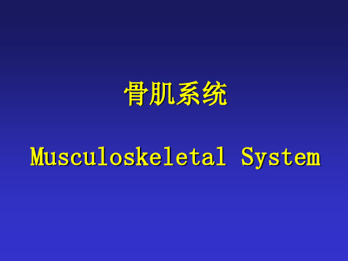 骨关节正常及基本病变实习图片