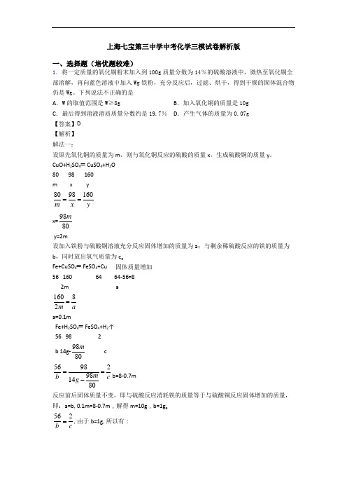 上海七宝第三中学中考化学三模试卷解析版