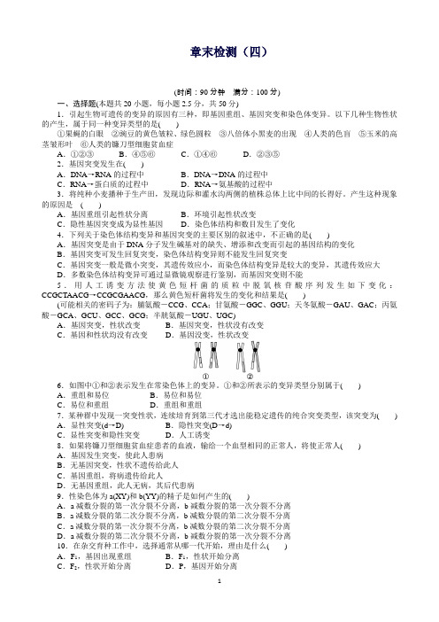 高一生物浙科版必修2章末检测：第四章生物的变异