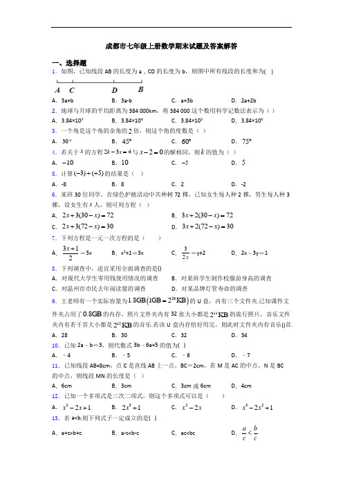 成都市七年级上册数学期末试题及答案解答