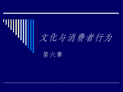 《消费者行为学——第六章-文化与消费者购买行为》