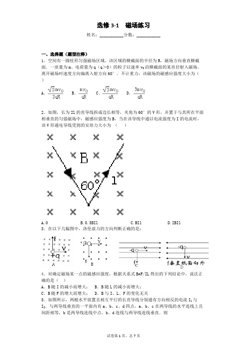 高中物理选修3-1磁场 安培力 洛伦兹力