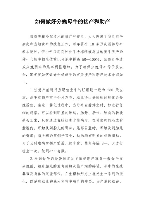 如何做好分娩母牛的接产和助产