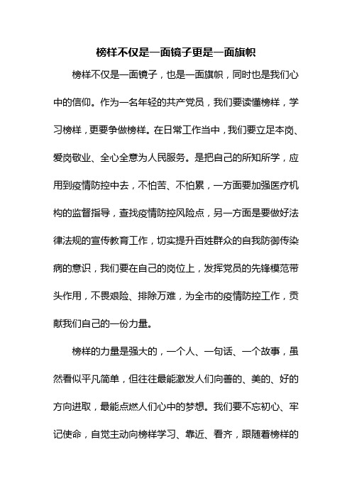 榜样不仅是一面镜子更是一面旗帜作文