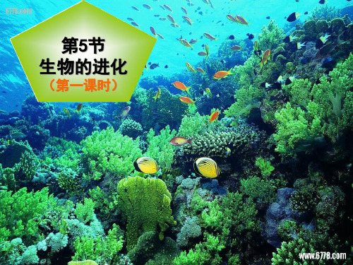 第5节生物的进化1课时PPT课件