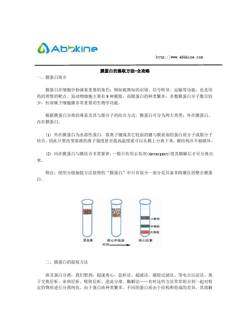 膜蛋白的提取方法-全攻略