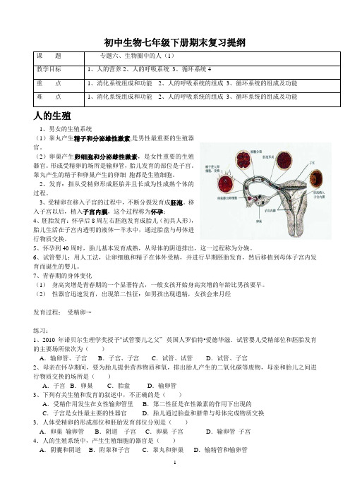 初中生物七年级下册期末复习提纲