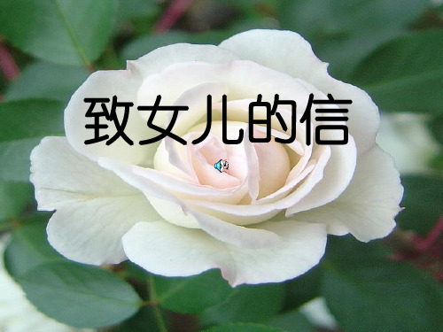 《致女儿的信》PPT课件