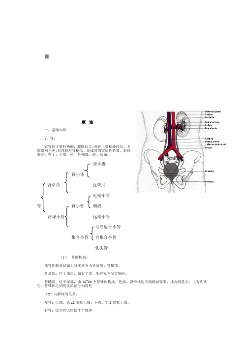 内科学泌尿系统疾病总结