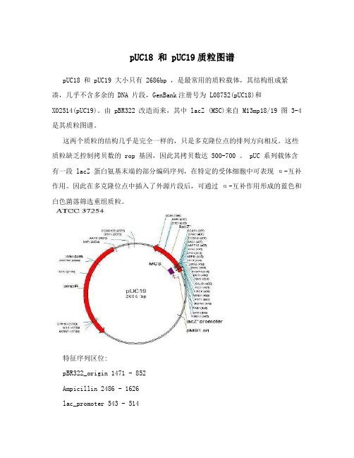 pUC18 和 pUC19质粒图谱