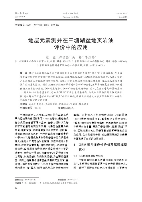 地层元素测井在三塘湖盆地页岩油评价中的应用