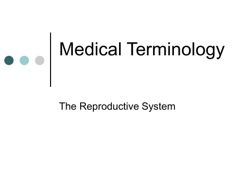 医学专业外语--Medical Terminology Reproduction女性生殖系统