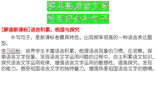 2022届高考语文复习补写句子课件29张