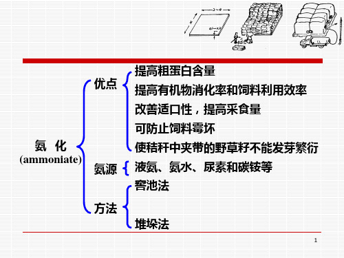 秸秆氨化.ppt