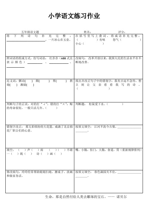 小学五年级语文精作细练II (63)