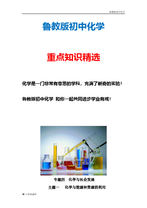 新版九年级中考化学冲刺含解析复习18.专题四模拟题