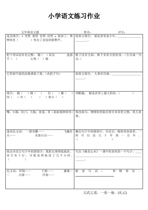 小学五年级语文精作细练II (33)