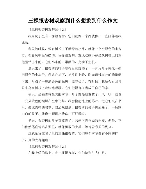 三棵银杏树观察到什么想象到什么作文