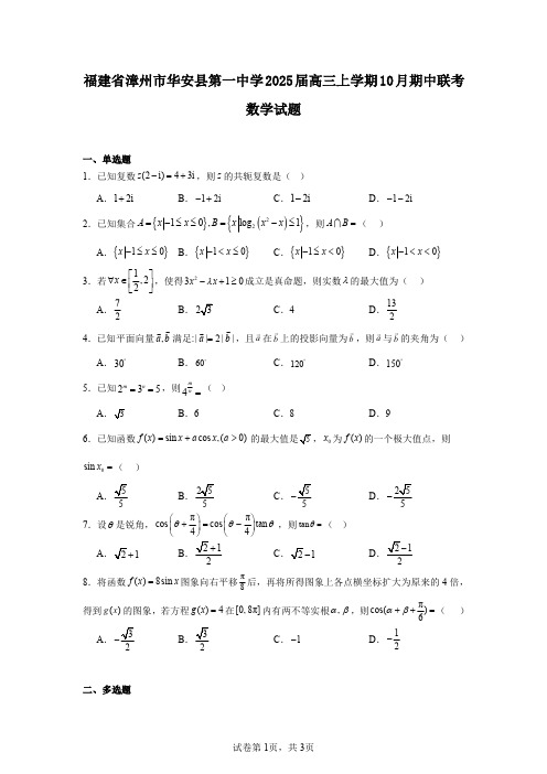 福建省漳州市华安县第一中学2025届高三上学期10月期中联考数学试题