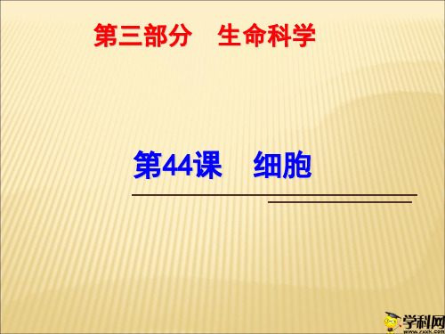 浙江省绍兴市浙教版科学九年级中考复习课件：第44课细胞(共31张PPT)