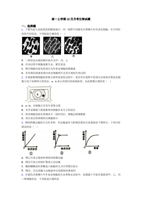 高一上学期12月月考生物试题