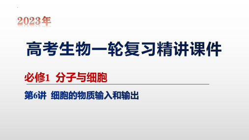 第6讲 细胞的物质输入和输出-【2023大一轮】备战2023年高考生物一轮复习精讲课件