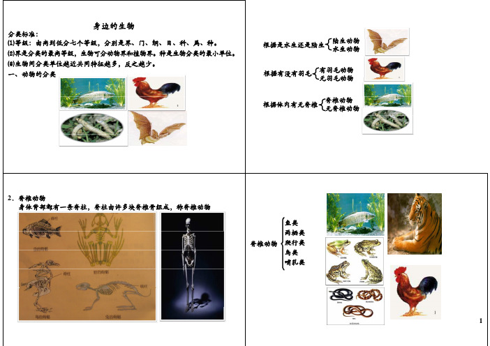 学而思初一科学之观察生物-常见的动物、植物、物种的多样性知识精讲