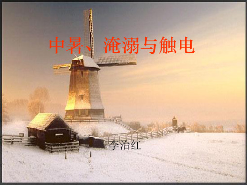 中暑淹溺和触电-PPT精品文档