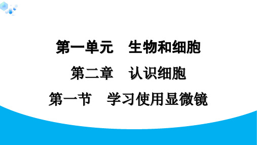 1.2.1 学习使用显微镜【课后练】七年级上册人教版生物