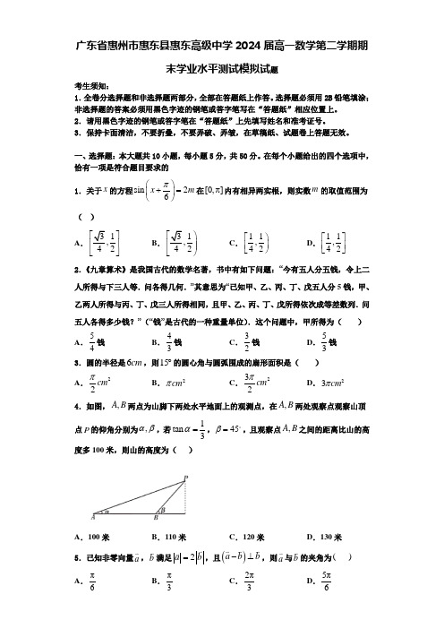 广东省惠州市惠东县惠东高级中学2024届高一数学第二学期期末学业水平测试模拟试题含解析