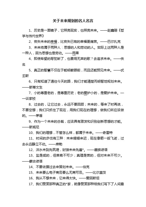 关于未来规划的名人名言