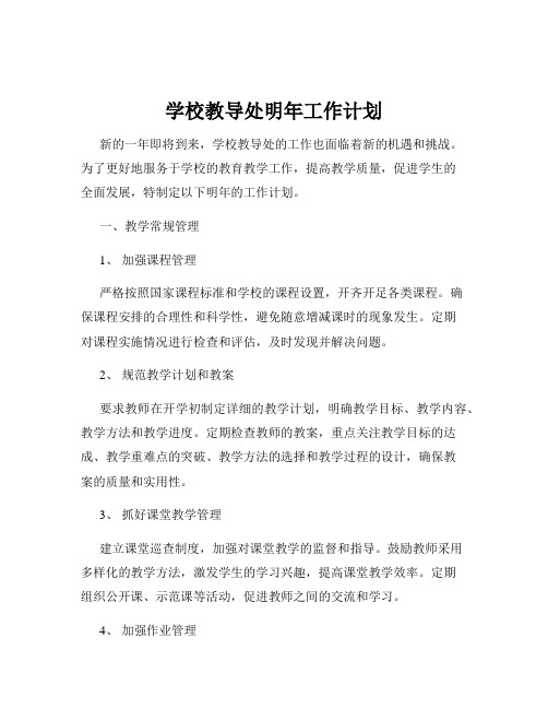 学校教导处明年工作计划