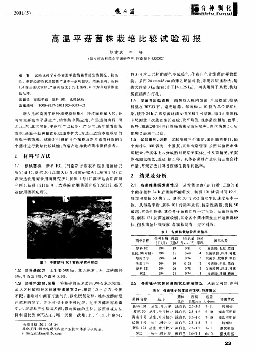 高温平菇菌株栽培比较试验初报