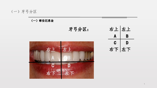 临床牙位的记录方法PPT课件