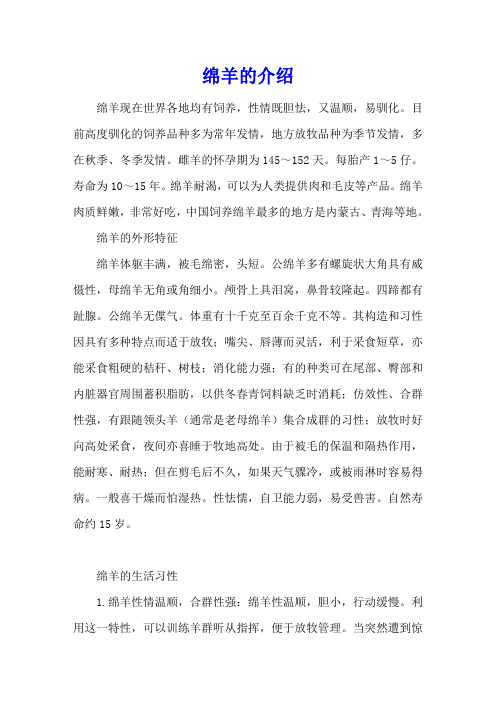 绵羊的介绍