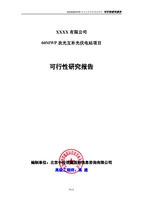 60MWP农光互补光伏电站项目可行性研究报告