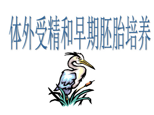 体外受精和早期胚胎培养用