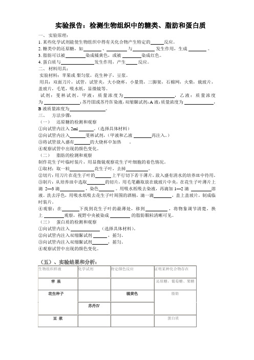 实验报告：检测糖类脂肪蛋白质