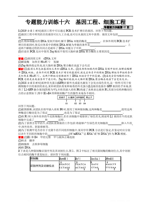 2020高考生物二轮课标通用专题能力训练：16 基因工程、细胞工程 