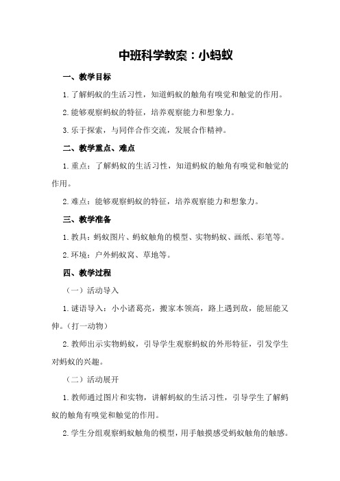 中班科学教案：小蚂蚁