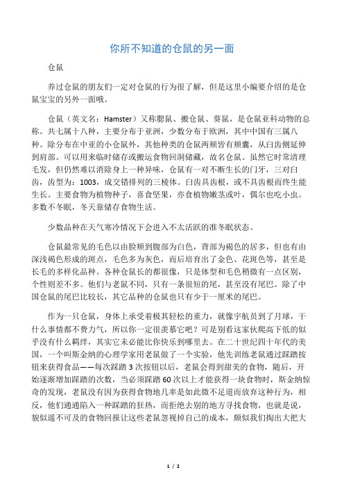 你所不知道的仓鼠的另一面
