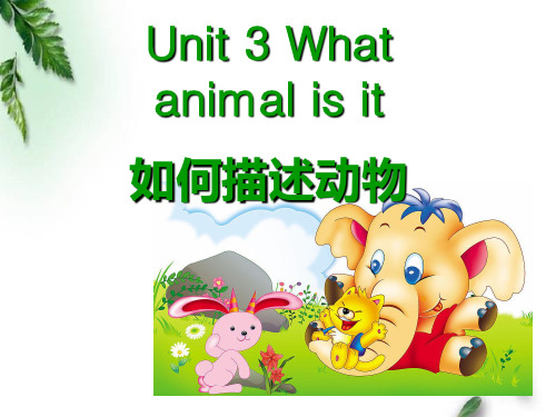 最新教科版小学英语六年级下册What animal is it   如何描述动物