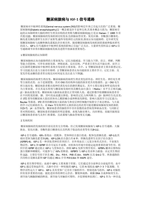 糖尿病脑病与IGF-1信号通路