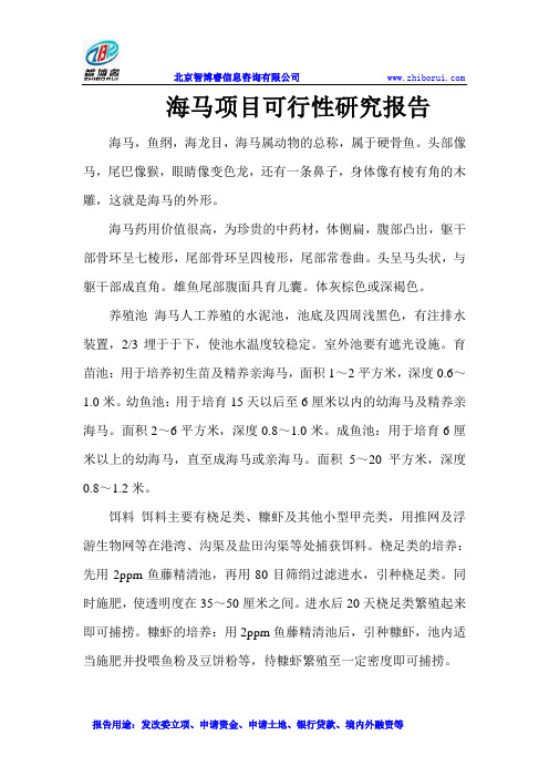 海马项目可行性研究报告